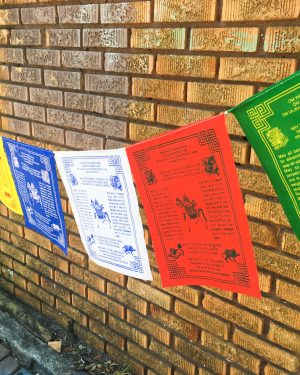 Wind Horse Prayer Flags